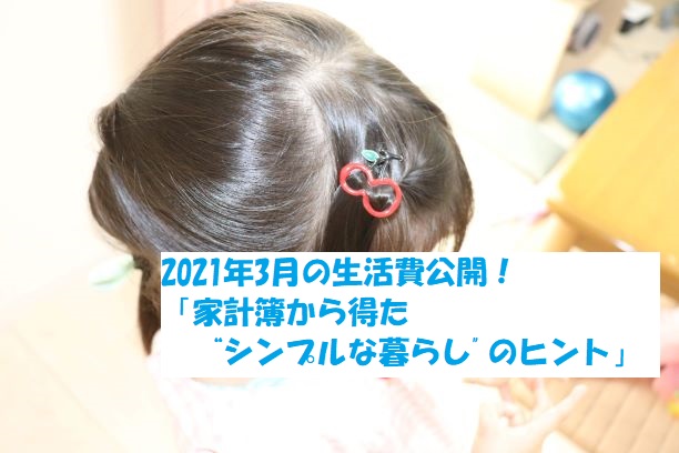 21年3月の生活費公開 家計簿から得た シンプルな暮らし のヒント 気ままお父さん シングルパパ子育てブログ